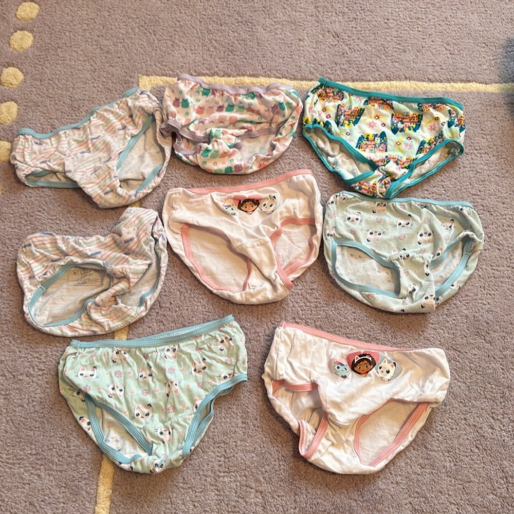 4T gabbys dollhouse panties